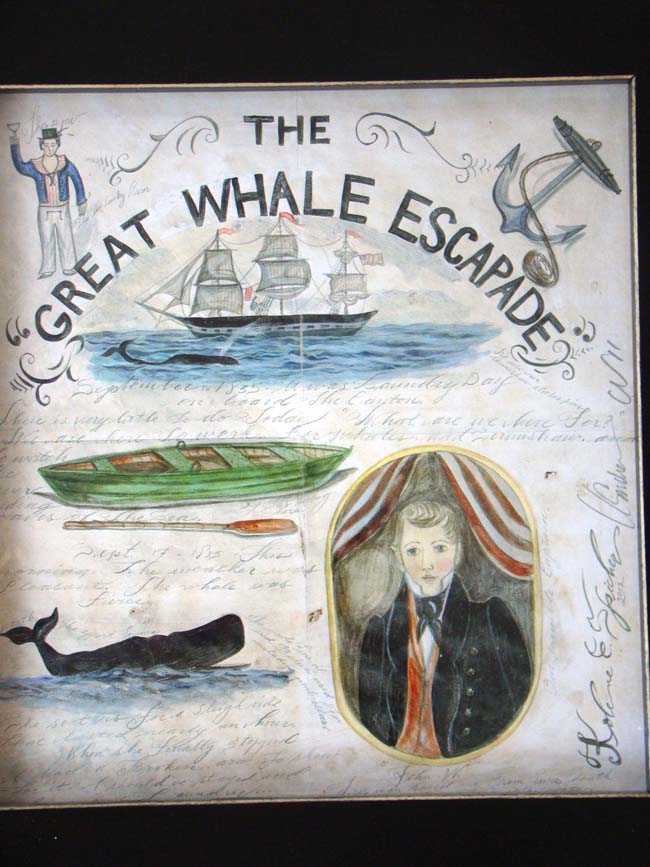 "The Great Whale Escapade" by Koleen Spieker